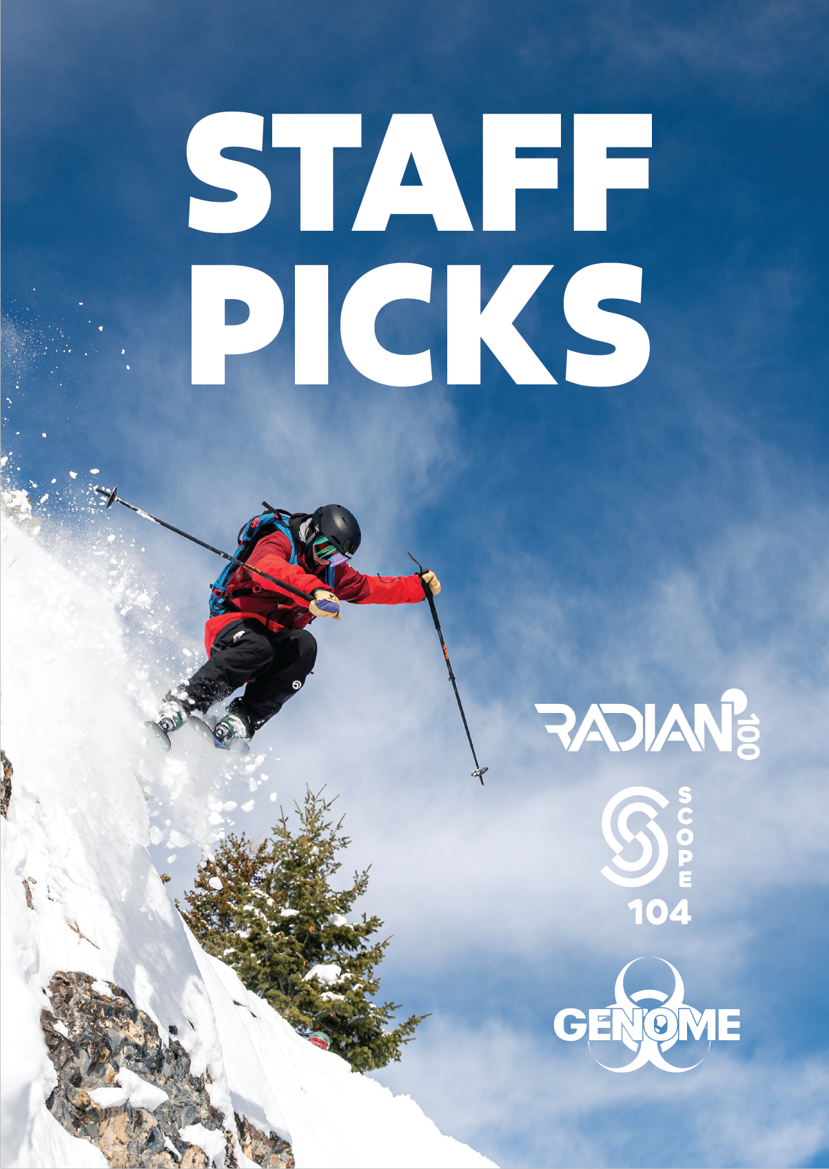 Staff Picks