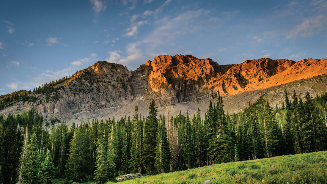 Our Commitment to Sustainability