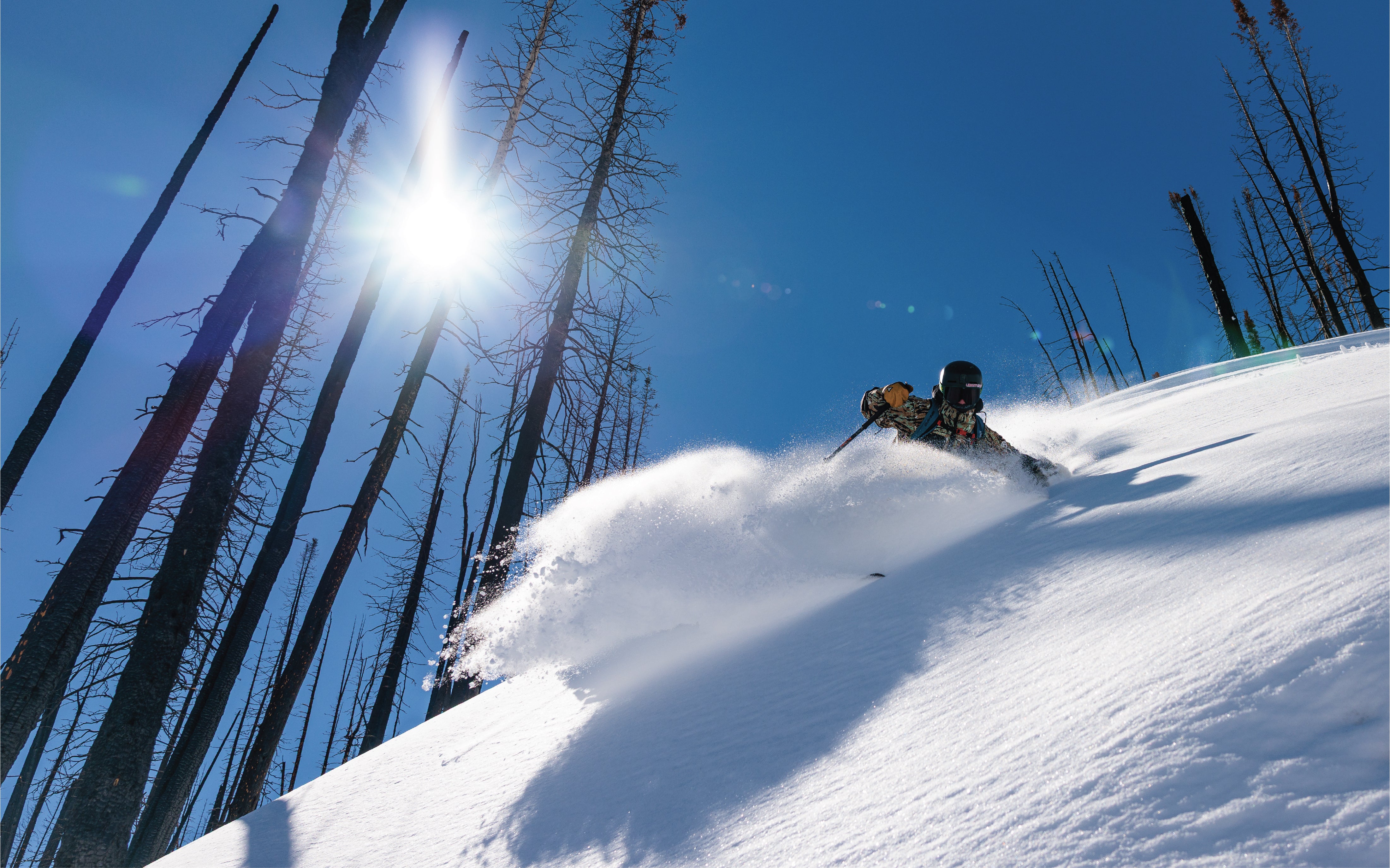 Freiheitsski – Liberty Skis