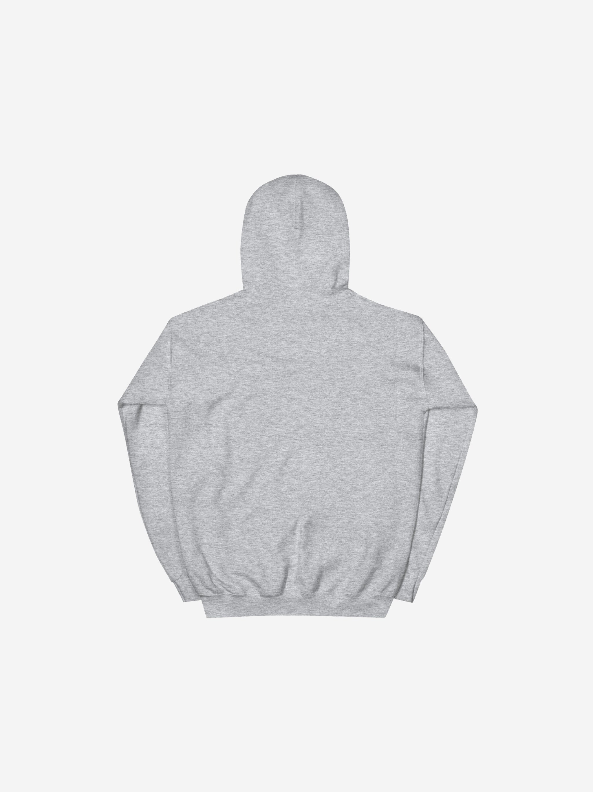 Infrared Logo Hoodie – Liberty Skis