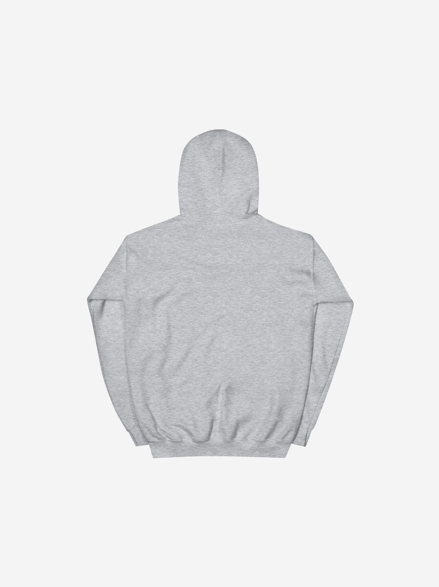 Liberty Skis Gear Infrared Logo Hoodie