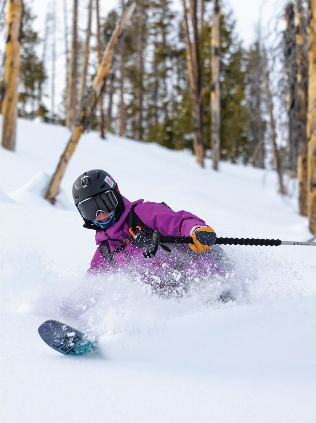 Liberty Skis HQ Demo Liberty Skis Horizon 92 - 2026 - HQ Demo